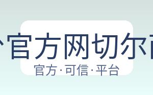 开云平台官方网切尔西赞助商 配图