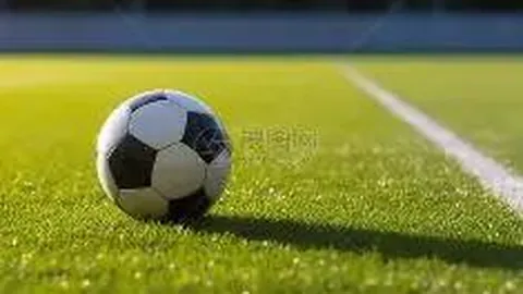 开云平台官方网切尔西赞助商 资讯 110703 wul