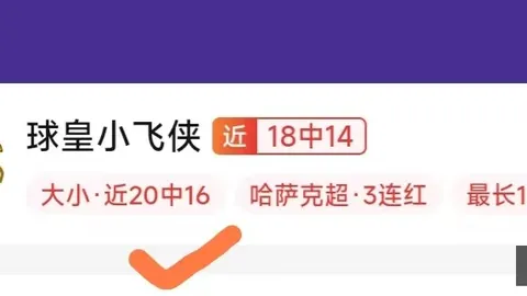开云平台官方网切尔西赞助商开云平台官网突发变动引发关注