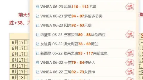 开云平台官方网，开云平台官网，切尔西赞助商 115305