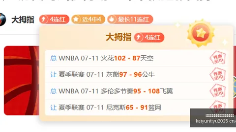 开云平台官方网切尔西赞助商开云平台官网突发变动引发关注